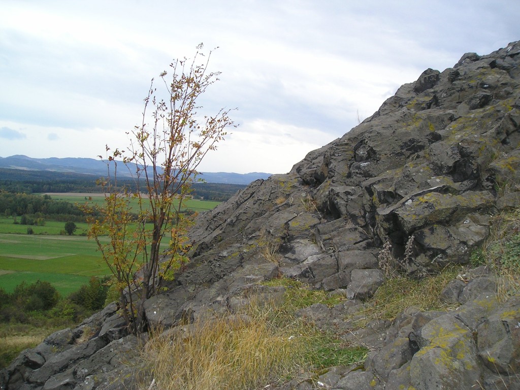 P1010216.jpg
