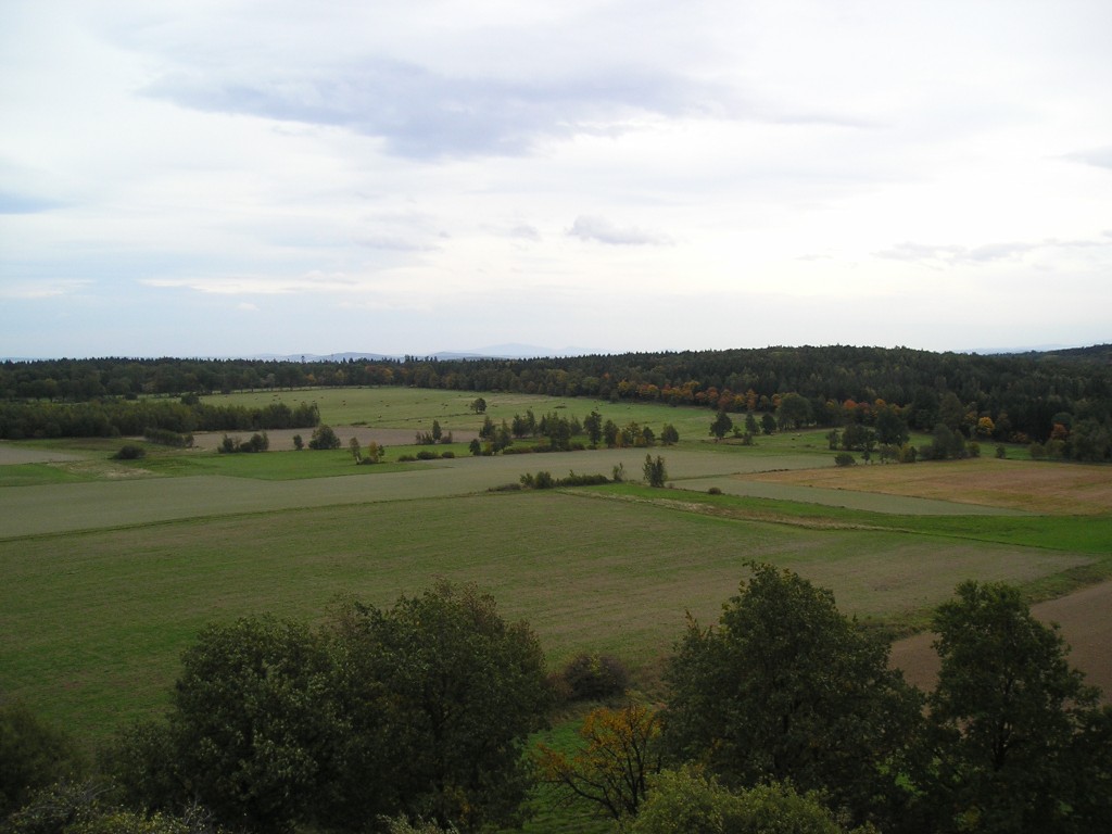 P1010217.jpg