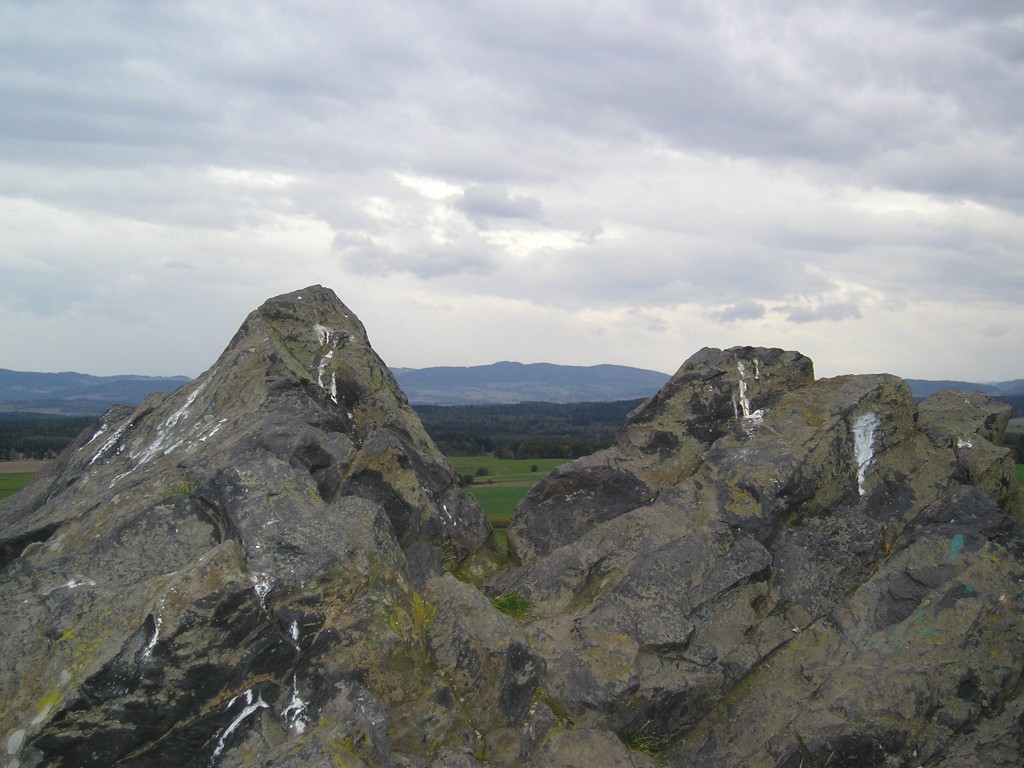 P1010220.jpg
