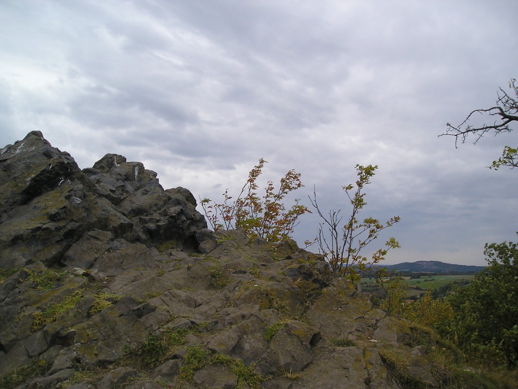 P1010221.jpg