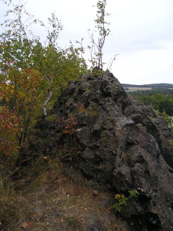 P1010224.jpg