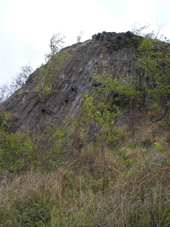 P1010226.jpg