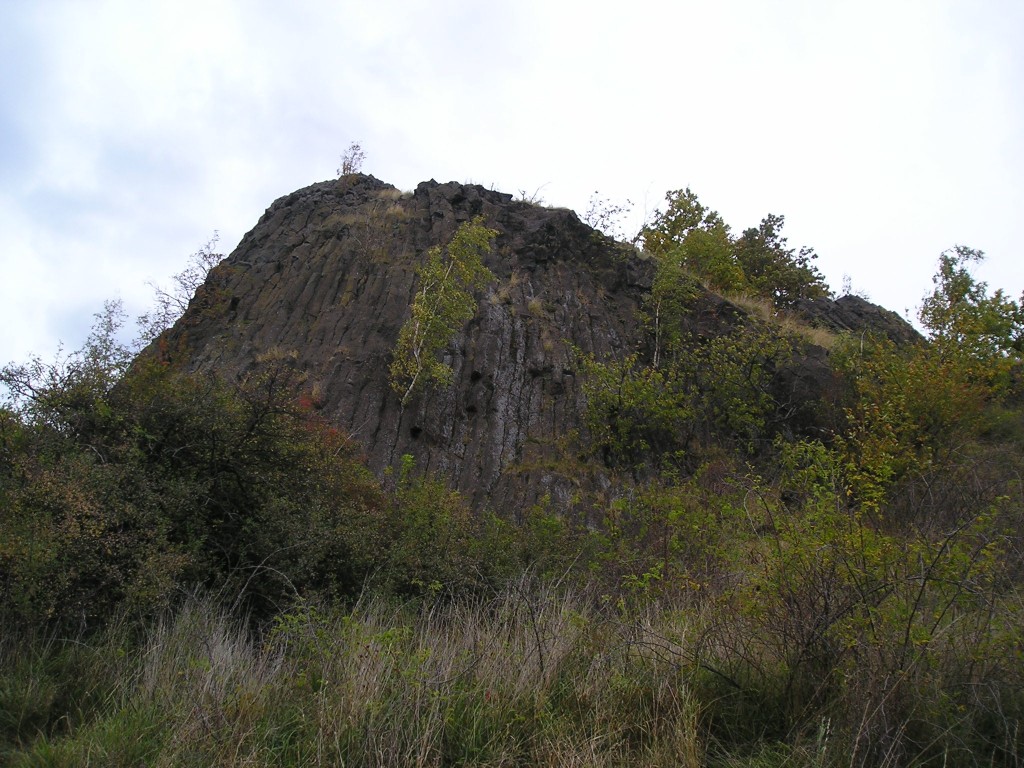 P1010227.jpg