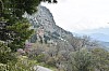 DSC_0001.jpg