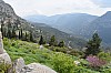 DSC_0018.jpg