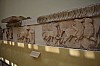 DSC_0077.jpg