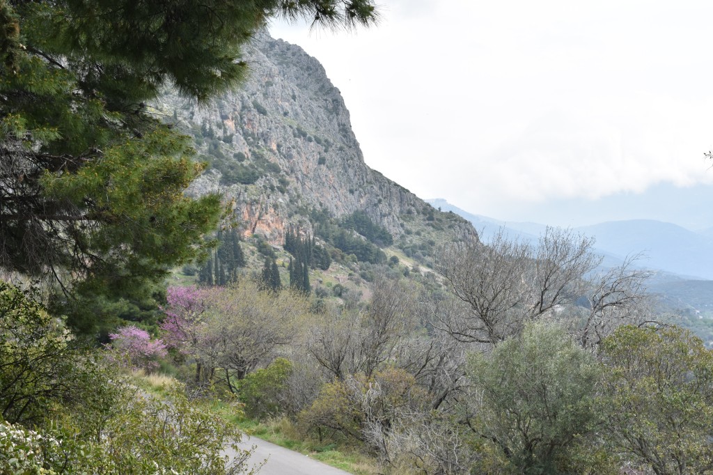 DSC_0001.jpg