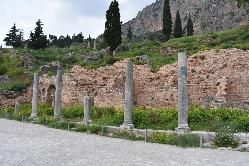 DSC_0009.jpg
