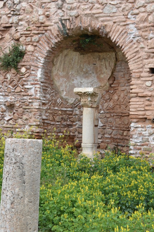 DSC_0012.jpg