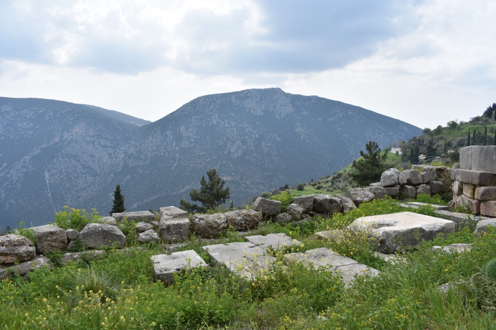 DSC_0015.jpg