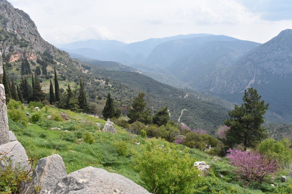 DSC_0018.jpg