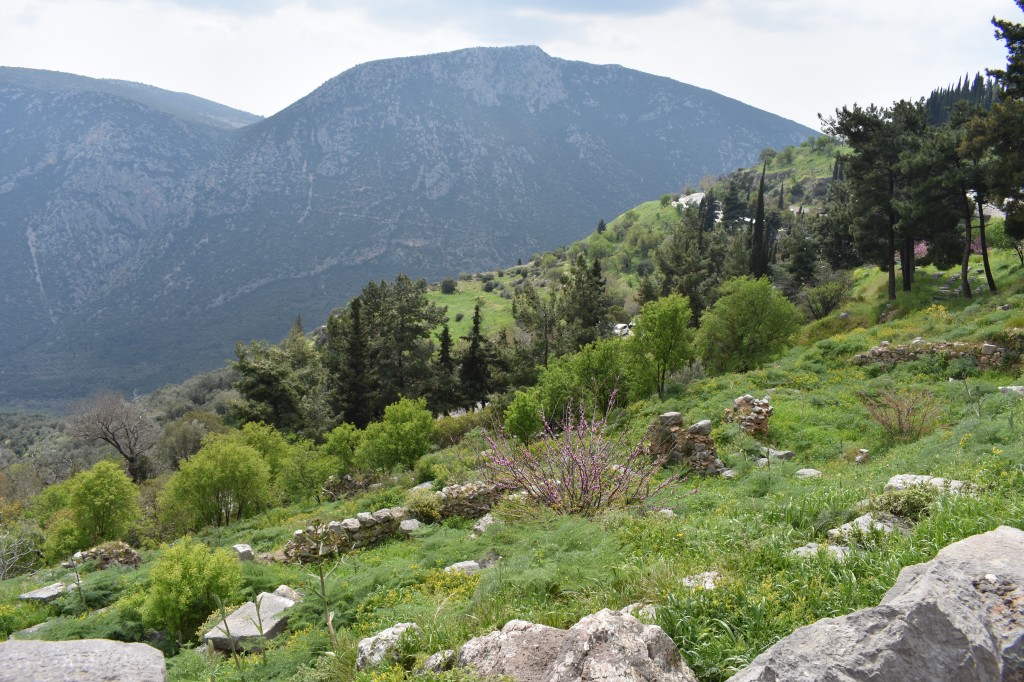 DSC_0019.jpg