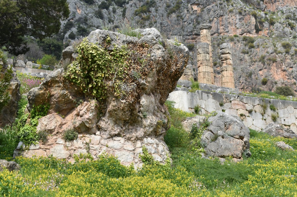 DSC_0023.jpg