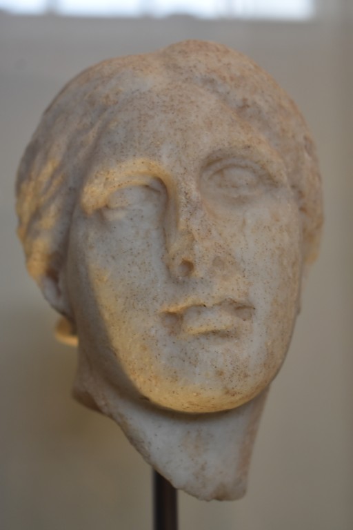 DSC_0103.jpg
