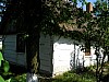 DZ10.jpg