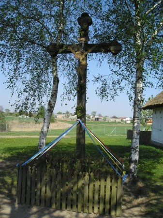 DZ21.jpg