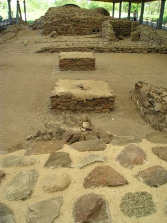 DZ71.jpg