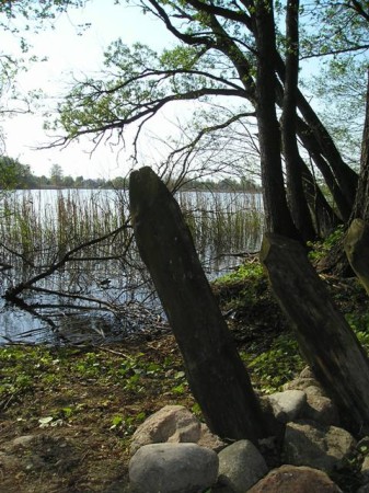 DZ75.jpg