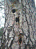 gwpk9.jpg