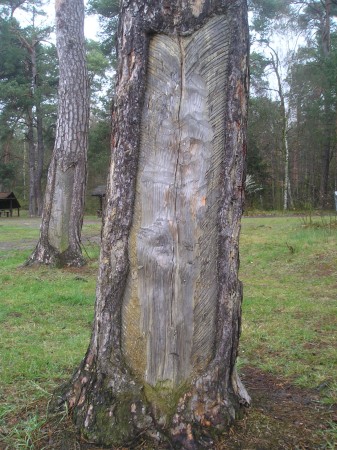 gwpk8.jpg