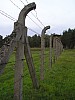 P1010278.jpg