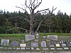 P1010280.jpg
