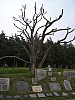 P1010281.jpg