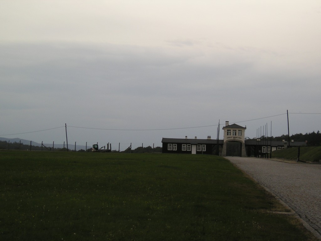 P1010266.jpg