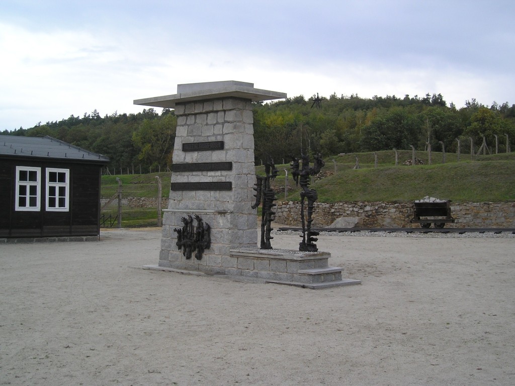 P1010270.jpg