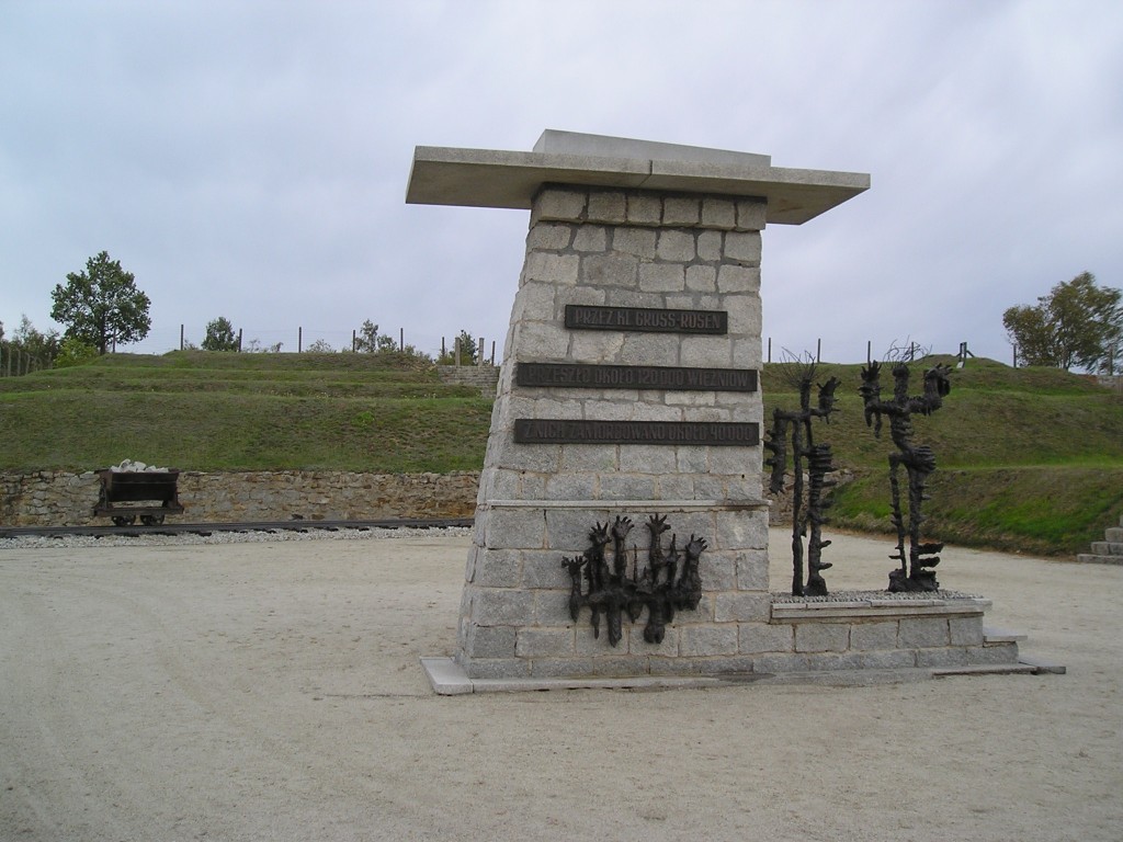 P1010271.jpg