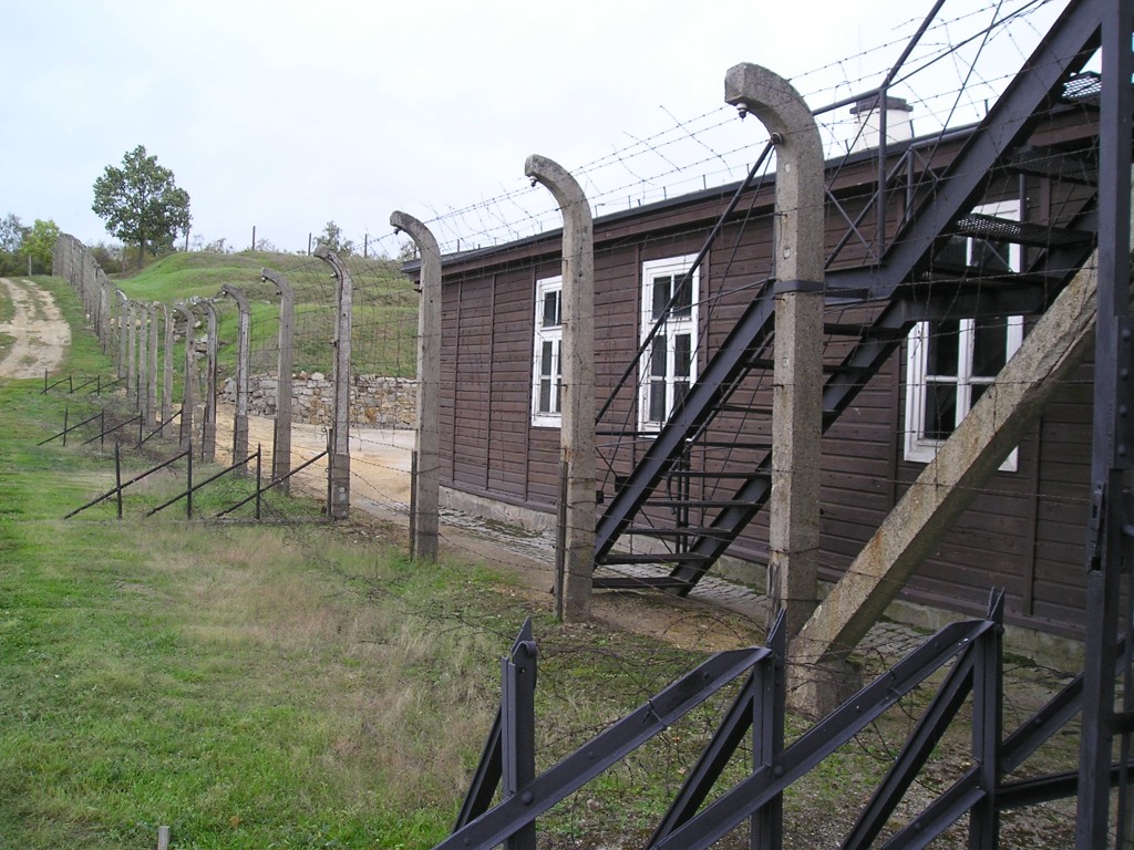 P1010272.jpg