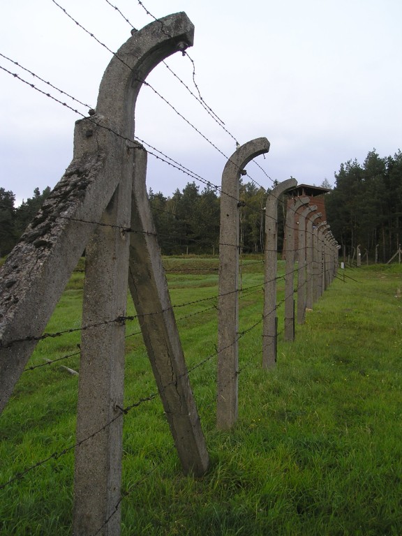 P1010278.jpg