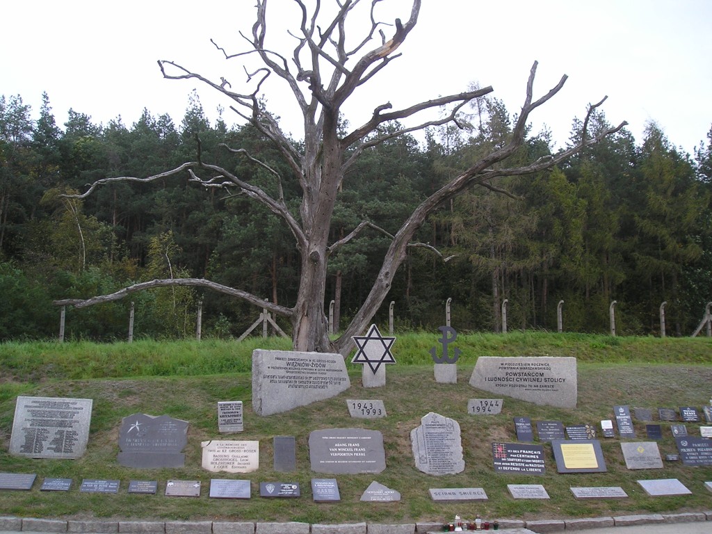 P1010280.jpg