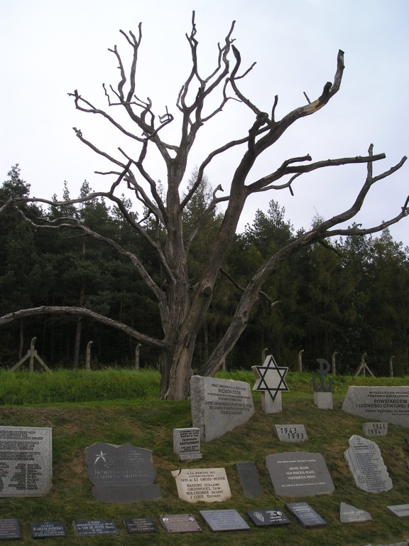 P1010281.jpg