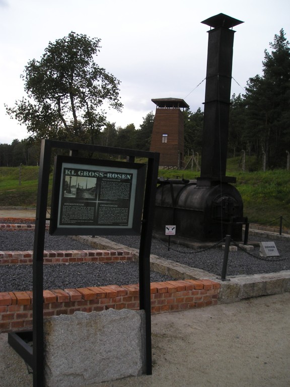 P1010282.jpg