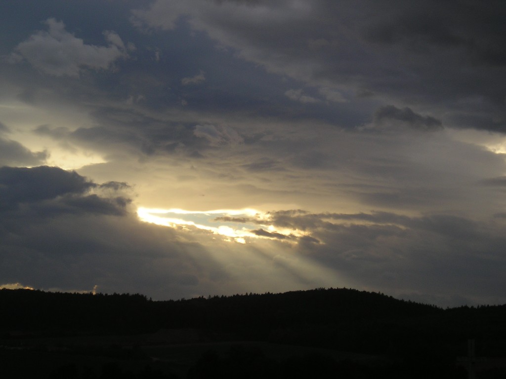 P1010283.jpg