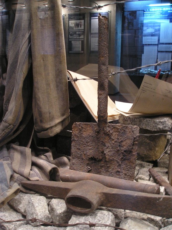 P1010286.jpg