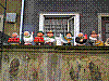 gd35.jpg