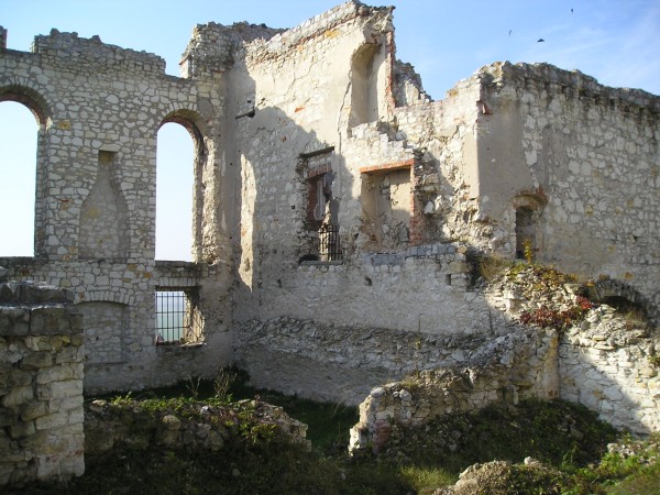 janowiec21.jpg