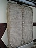 P1010244.jpg