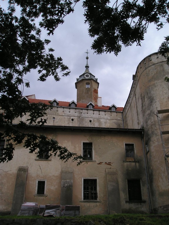 P1010229.jpg