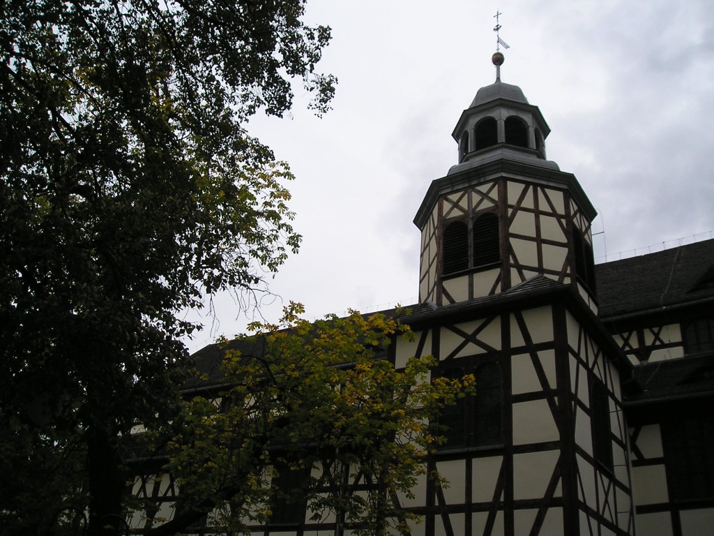 P1010238.jpg