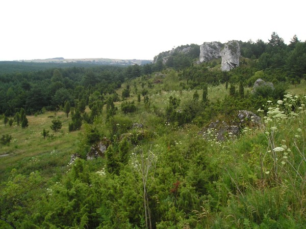 jura23.jpg