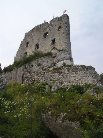 jura25.jpg