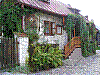 kazimierz49.jpg