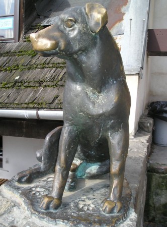 kazimierz113.jpg
