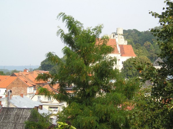 kazimierz28.jpg