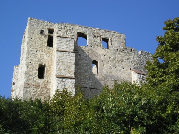 kazimierz66.jpg