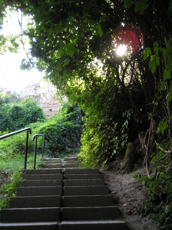 kazimierz67.jpg