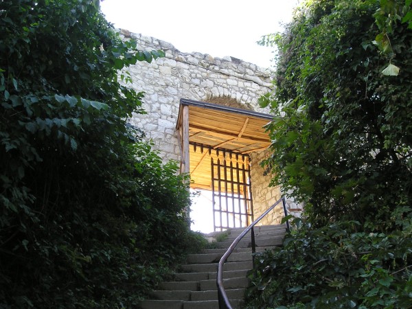 kazimierz68.jpg
